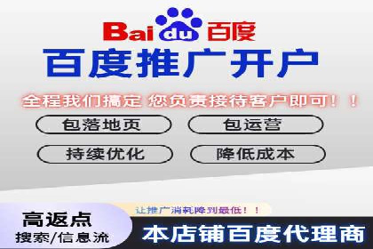 搜索引擎营销（SEM）成功案例详解